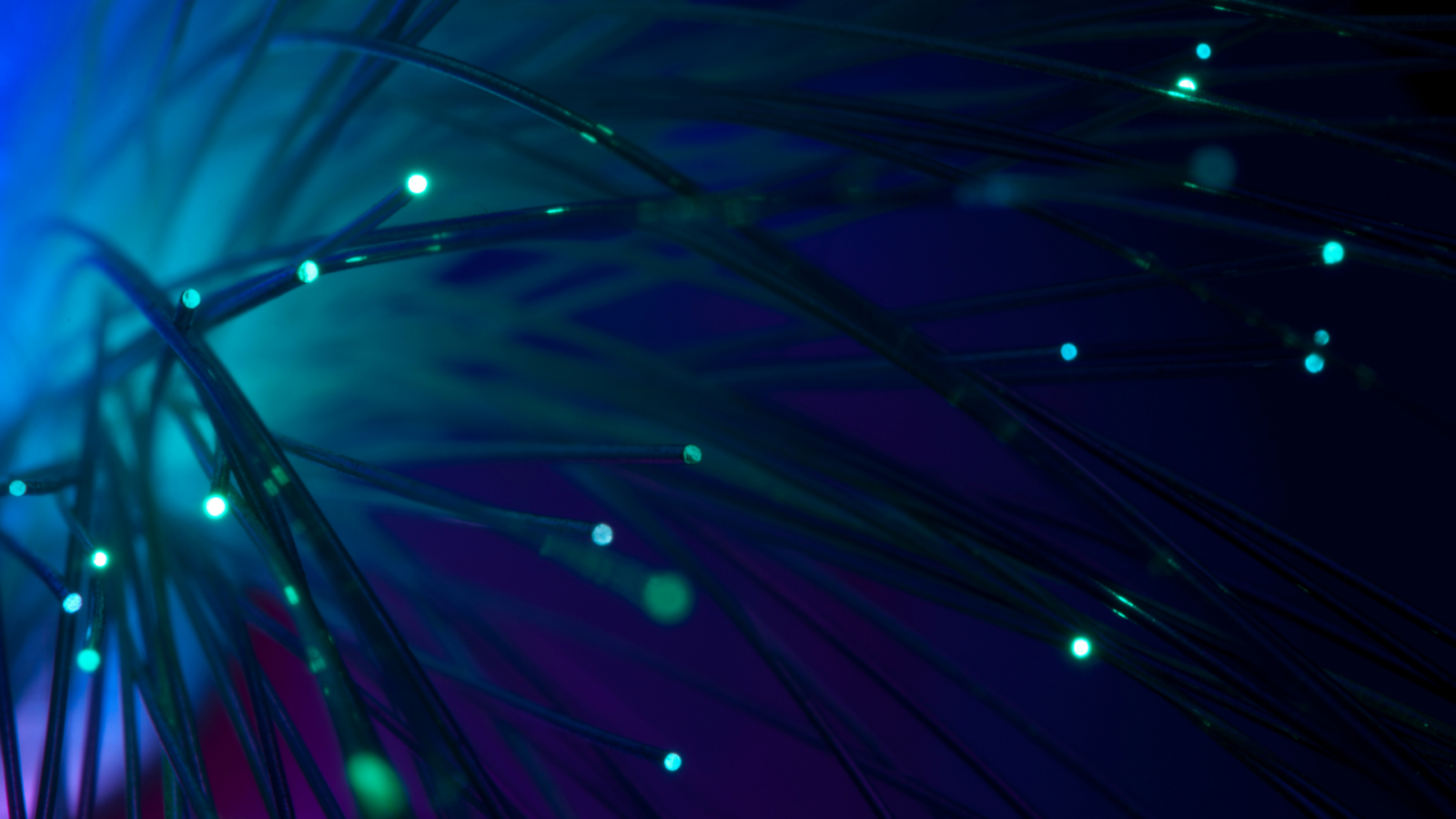 Green fiber optic strands on a dark blue background